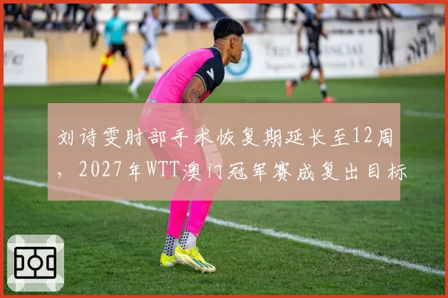 刘诗雯肘部手术恢复期延长至12周,2027年WTT澳门冠军赛成复出目标