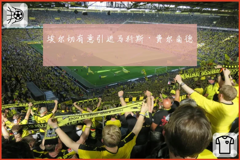 埃尔切有意引进马科斯·费尔南德斯